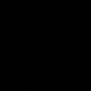 Meet your Posher, Sophia